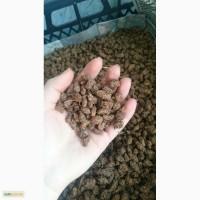 Продам земляной орех Чуфа