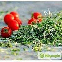 Мікрогрін, Микрогрин, Микрозелень, Microgreens