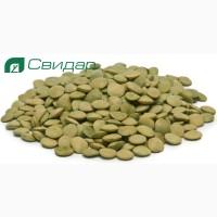 Чечевица Линза (зелёная) на посев