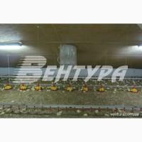 Обладнання для птахофабрик та вентиляція для птахокомплексів