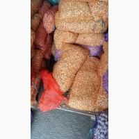 Лук севок, арпаш