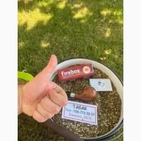 Махорка з нашої садиби: смак і якість