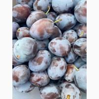 Продам сливу угорка