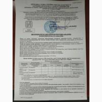 Продаж цибулі перо
