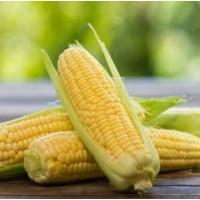 Компанія на постійній основі закупляє