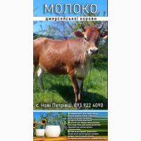 Продаємо свіже джерсейське молоко (молоко домашнє, молоко домашнее)