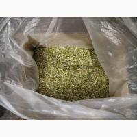 Продам цвіт бузини морожений