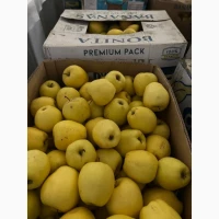 Продам яблука