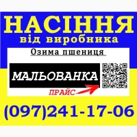 03имв пшениця Мвль08внкв (елітв) 2026. Нвсіння 8ід 8ир06никв