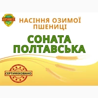 Нвсіння пшениці 03им0ї С0нвтв п0лтв8ськв