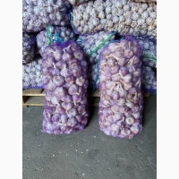 Продам хороший та якісний часник великого розміру