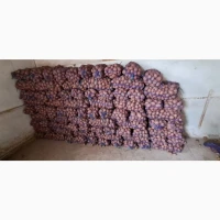 Продаж Картоплі