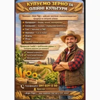 Куплю пшеницю 3 клвс