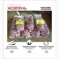Посадковий матеріал часнику, часник першої репродукції