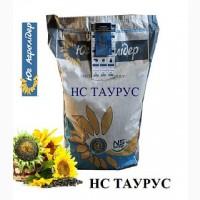 Насіння соняшника НС Таурус, толерантного до Евро-Лайтнінгу
