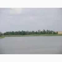 Продам водоем для рыбного хозяйства осетровой фермы