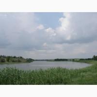 Продам водоем для рыбного хозяйства осетровой фермы