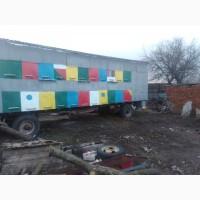 Продам пчелопавильйон