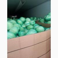 Продам капусту белокочанную