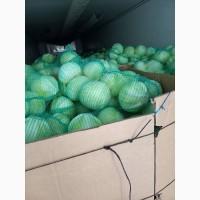 Продам капусту белокочанную