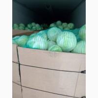 Продам капусту белокочанную