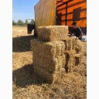 Продам житню (ржаную) солому