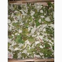 Продам сушане листя малини, букет малини сушаний