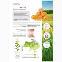 Насіння кукурудзи Рубен ФАО 300
