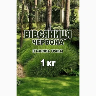Овсяница красная газон