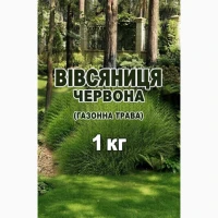 Овсяница красная газон