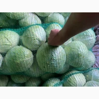 Продам товарну капусту