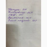 Продам яру пшеницю 2026 року