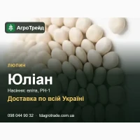 Насіння люпину Юліан: еліта, РН-1, доставка по Україні