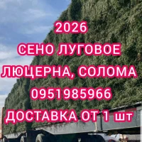 Продам сено люцерны, луговое в тюках. Большой объём. Доставка
