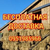 Сено с доставкой по Украине. Луговое (разнотравье), пырей, люцерна, солома в тюках мешках