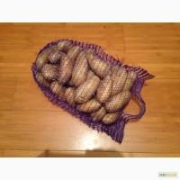 Продам фасованный мытый картофель