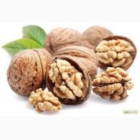 Куплю грецкий орех, Харьков и область