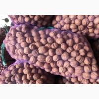 Грецкий орех опт срочно