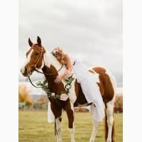 Конные прогулки фотосессии отдых за городом катание на лошадях