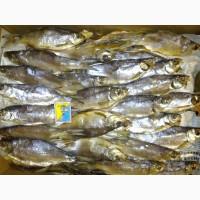 Риба ікра морепродукти