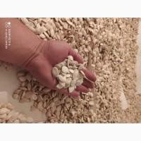 Продам тыквенную семечку сероволжская
