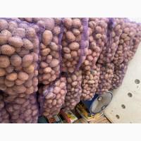 Продам картоплю (товарну)