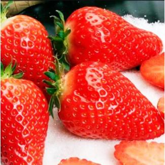 Саженцы клубники альба соната азия