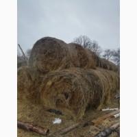 Сено в рулонах