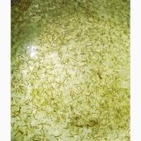 Продам зарибок риби (короп, товстолоб, амур, сом)