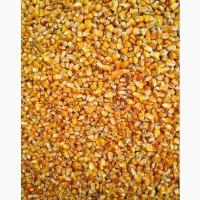 Купуємо кукурудзу по ф2