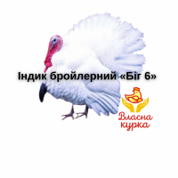 Бройлер індика БІГ-6