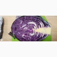 Продам капусту краснокочанную