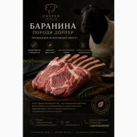 Баранина, ягнятина