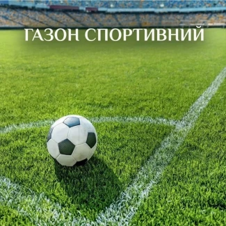 Семена спортивного газона